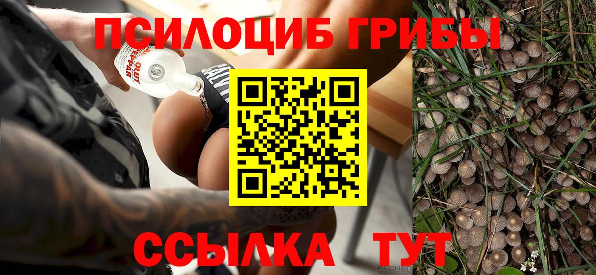 Галлюциногенные грибы Cubensis  Вход с VPN  Выкса 