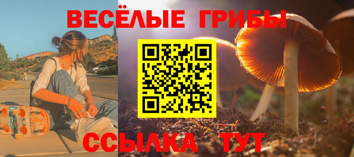 Псилоцибиновые грибы GOLDEN TEACHER Выкса